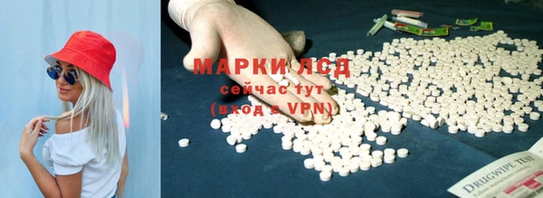 амф Надым